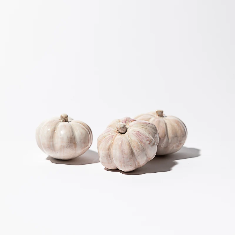 Ail en céramique