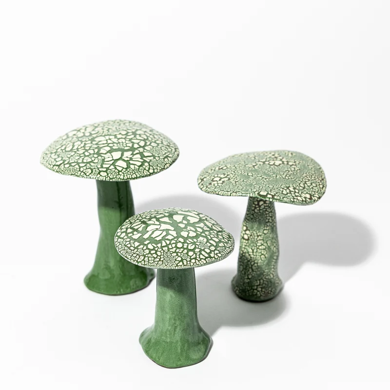 Ensemble de Champignons Galuchats