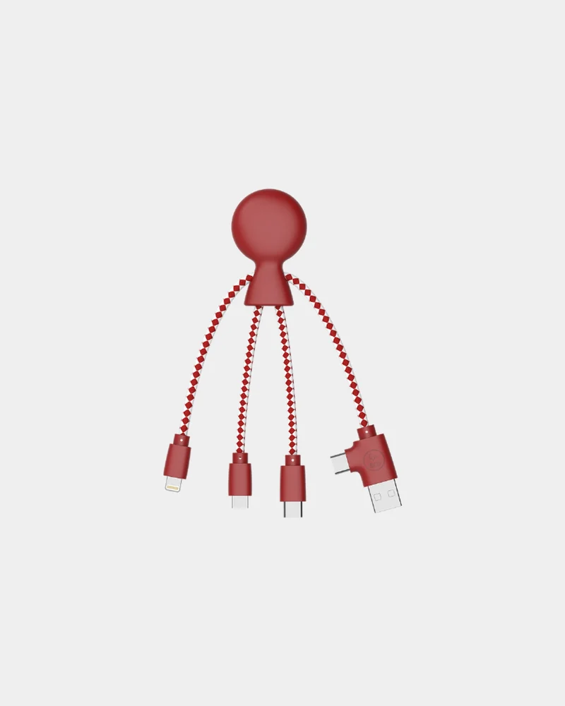 Câble de charge multi-connecteurs à personnaliser