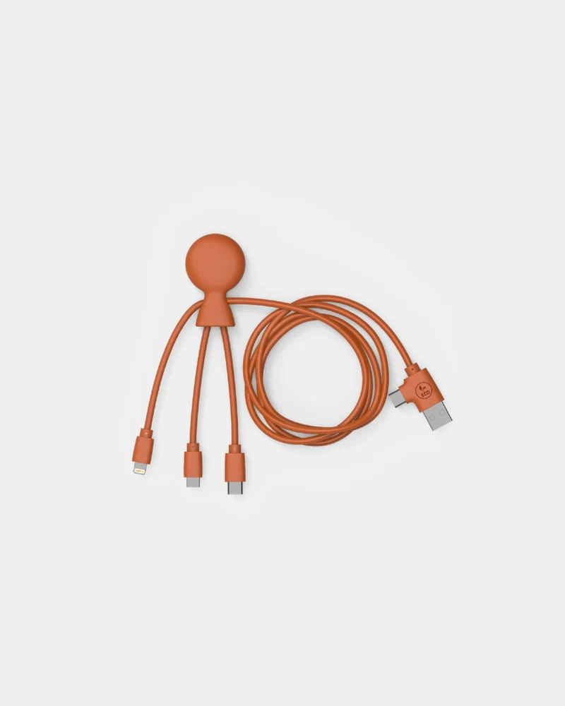 Câble de charge multi-connecteurs 1m à personnaliser