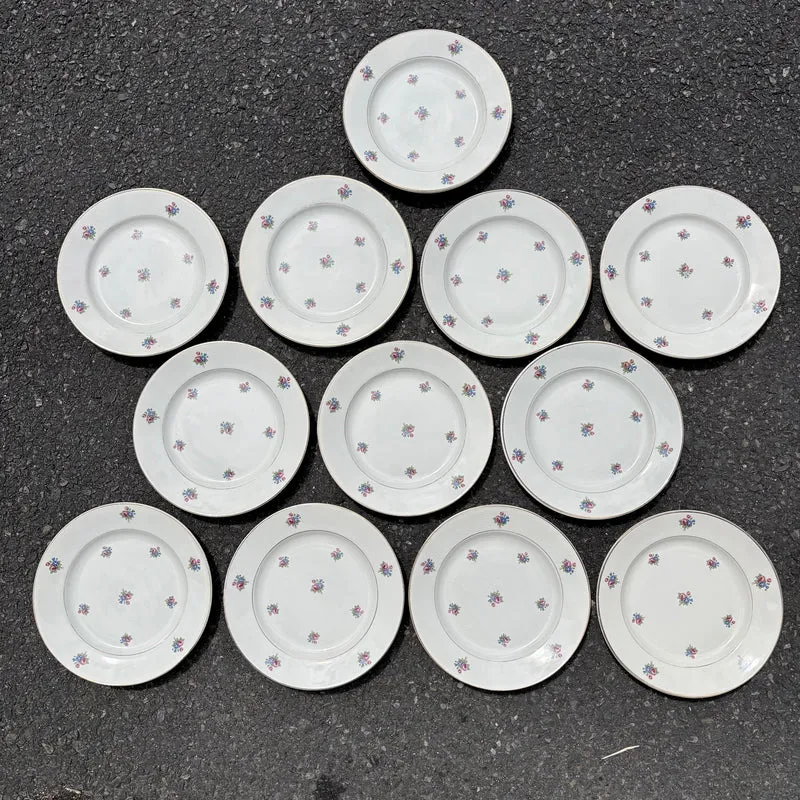 Lot de 12 assiettes motif fleuri